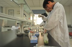 如何建設(shè)科研類恒溫恒濕實(shí)驗(yàn)室