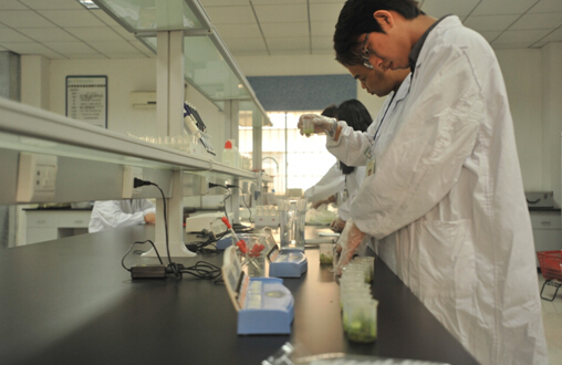 科研實(shí)驗(yàn)室建設(shè)