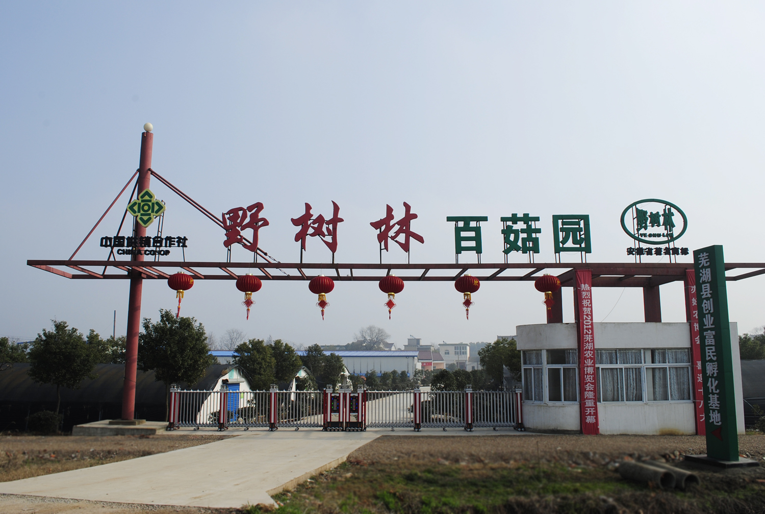 食用菌培養(yǎng)基地