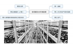 食用菌工廠化需要控制的六大環(huán)境因素