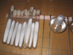 食用菌不能用脫脂棉做母種棉塞