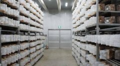 食用菌廠房設(shè)計(jì)方案